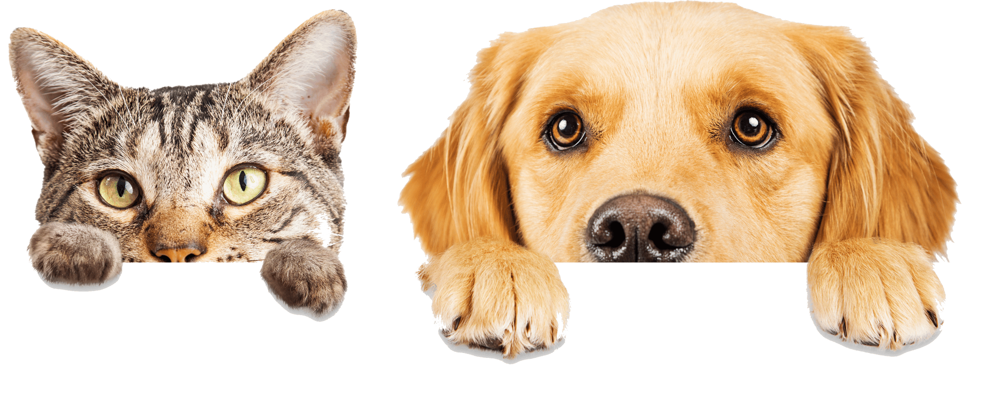 left_animals